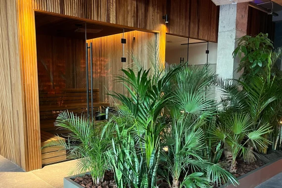 Hotel Doina Mamaia Proiect Sauna Main
